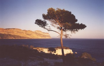 To The Spirit Unconquered